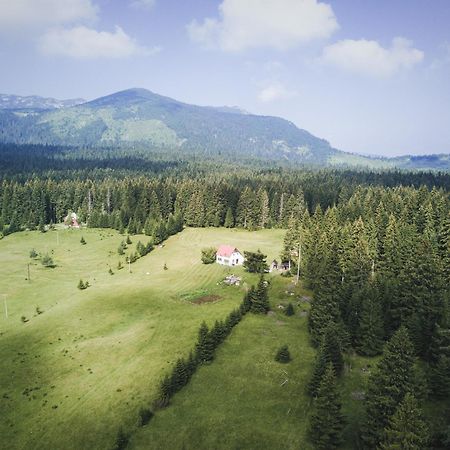 Homestay Djerkovic Zabljak  Bagian luar foto