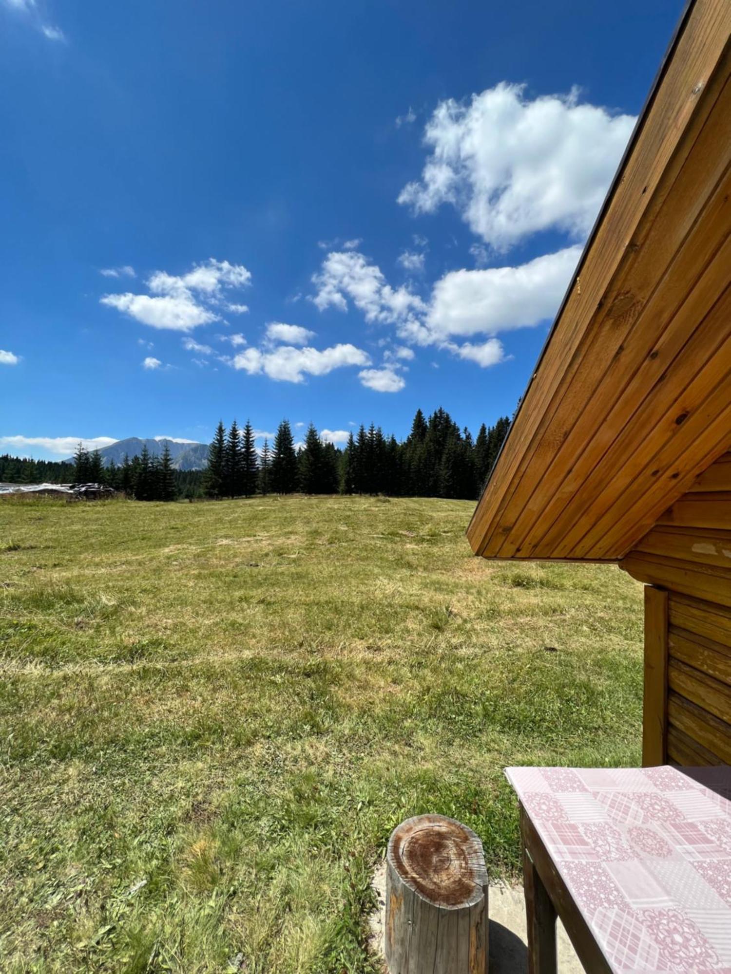 Homestay Djerkovic Zabljak  Bagian luar foto