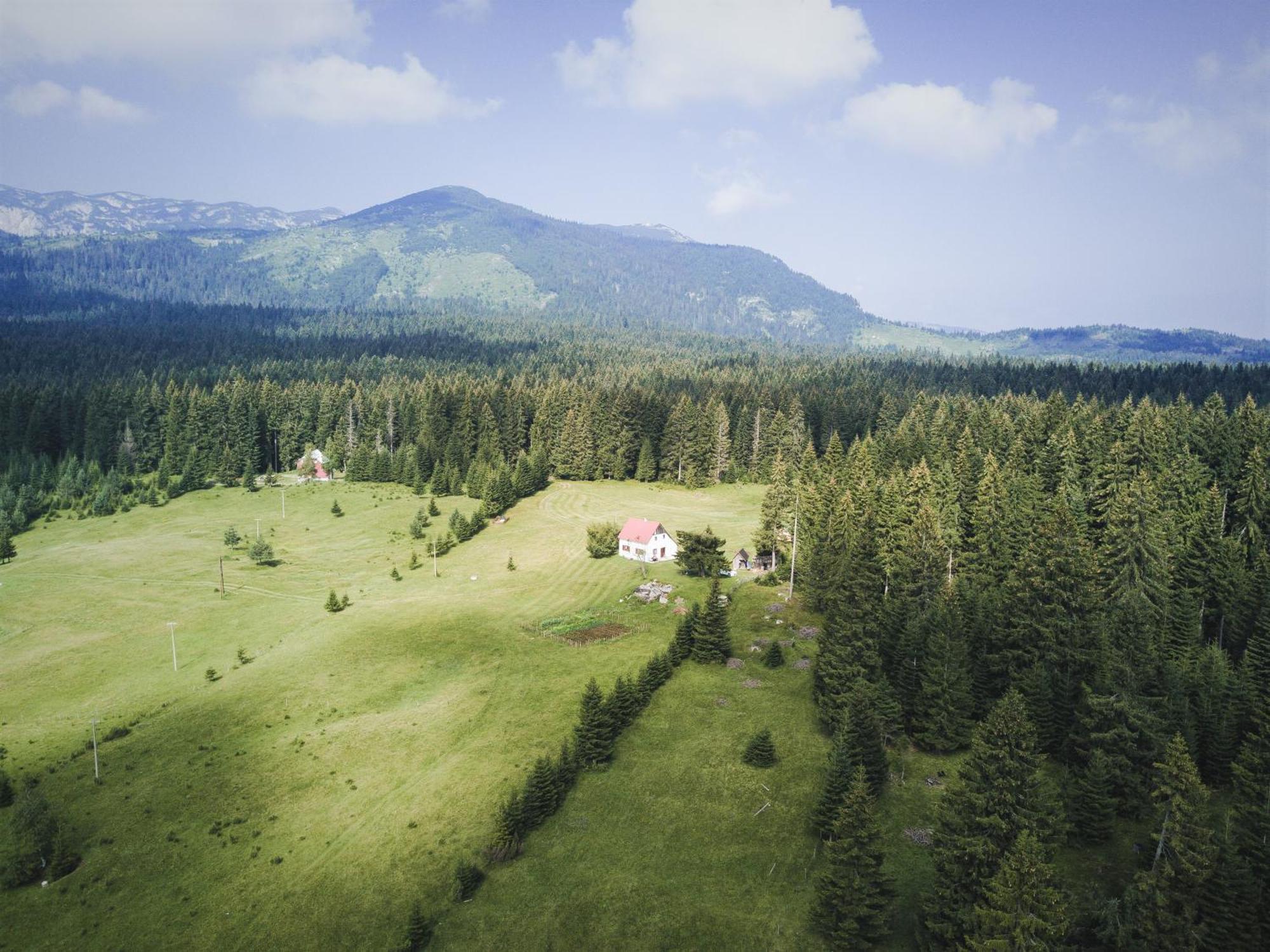 Homestay Djerkovic Zabljak  Bagian luar foto
