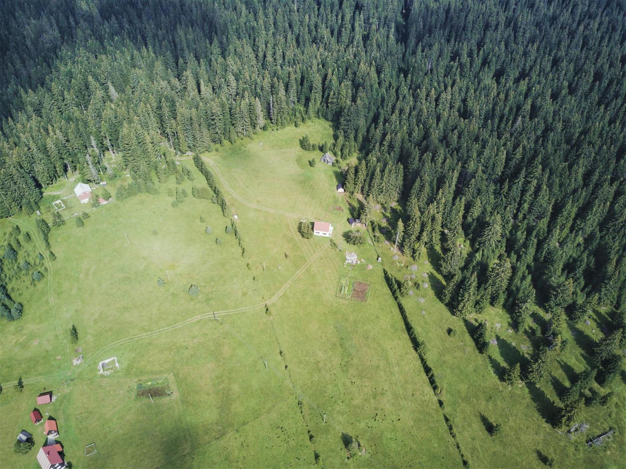 Homestay Djerkovic Zabljak  Bagian luar foto