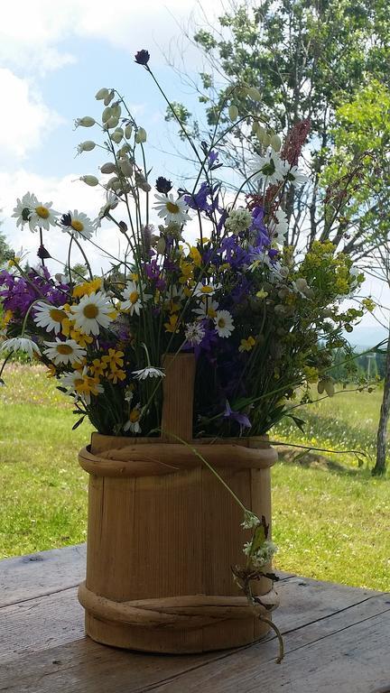 Homestay Djerkovic Zabljak  Ruang foto