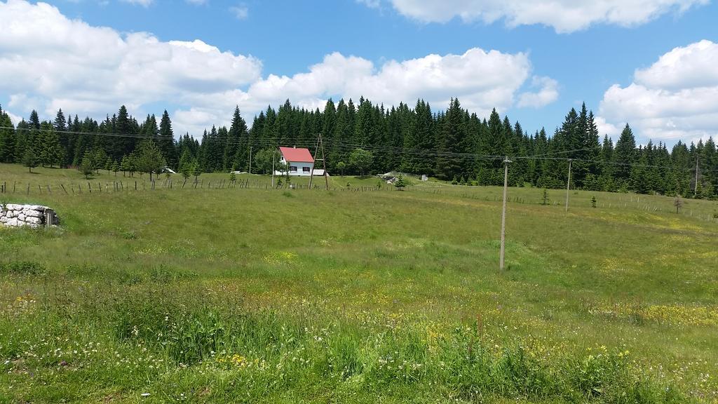 Homestay Djerkovic Zabljak  Bagian luar foto